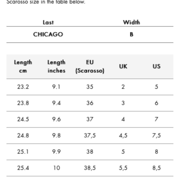 Scarosso Pointed Toe Heels - Picture 7 of 7